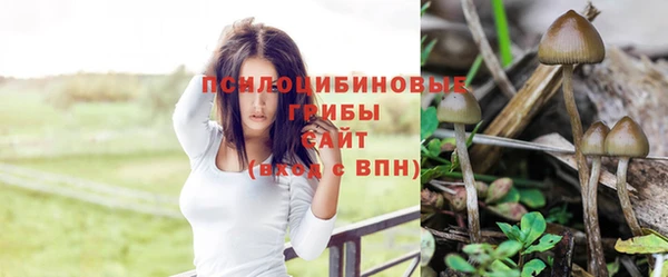 mdpv Бородино