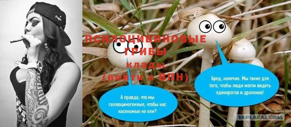 винт Бугульма