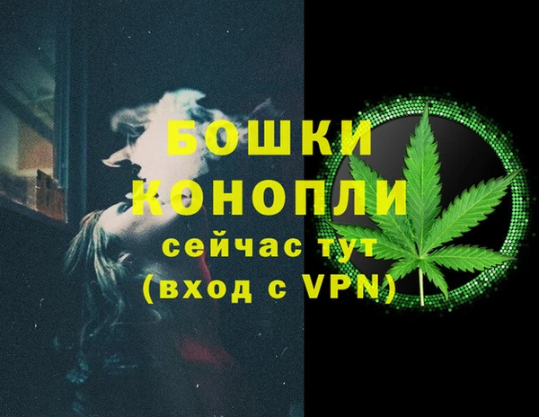 mdpv Бородино