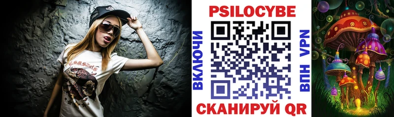 блэк спрут ссылки  Новокузнецк  Псилоцибиновые грибы Psilocybine cubensis 