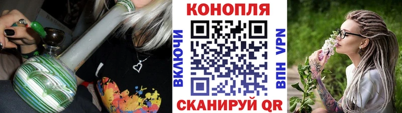 Бошки марихуана сатива  дарнет шоп  Новокузнецк 
